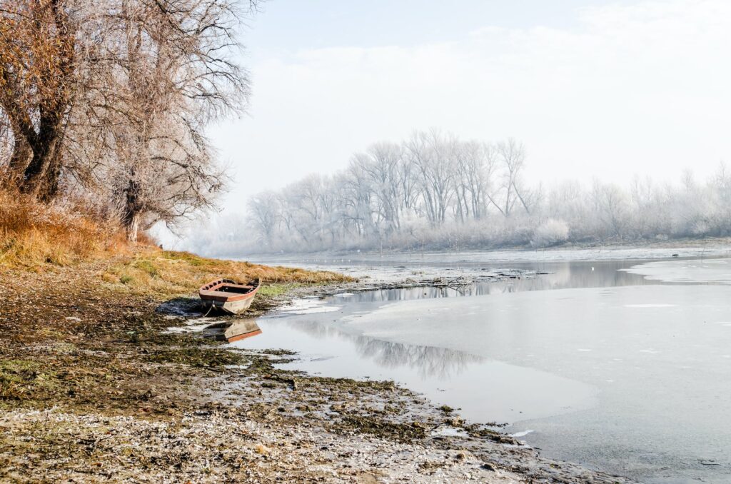 boat docked on shore