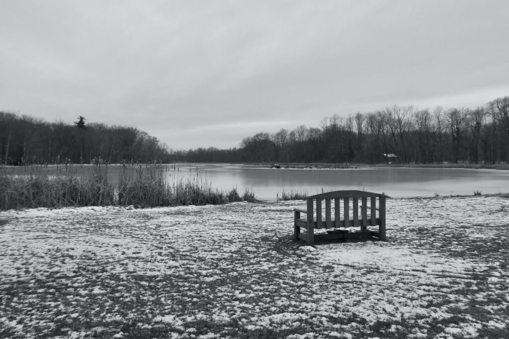 the bench by the water