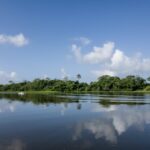 motor boat sailing on placid lake with jungle forest on its shore